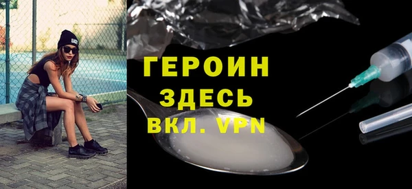 индика Арсеньев
