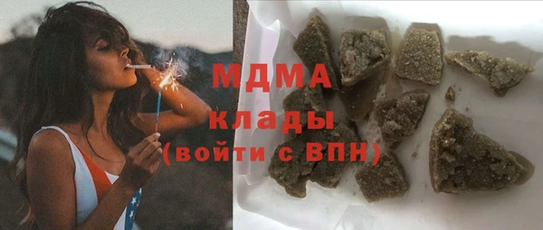 индика Арсеньев