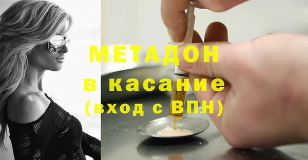 индика Арсеньев