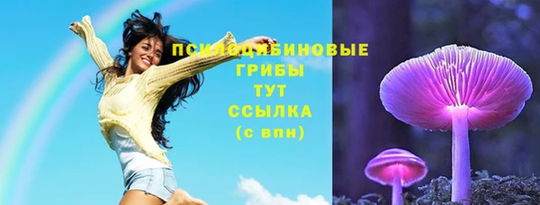 молекула духа Аркадак