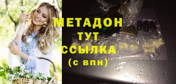 индика Арсеньев