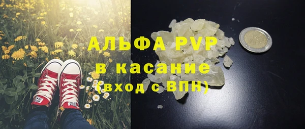 молекула духа Аркадак